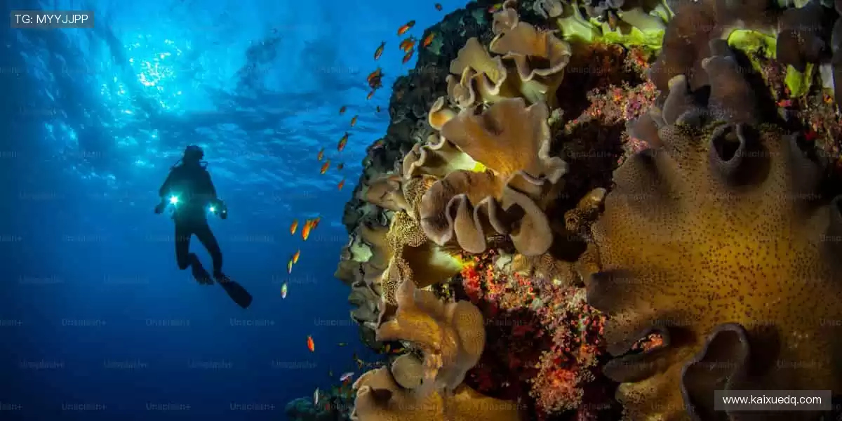 热血赛事,一触即发!🔥